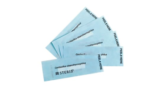 VERIFY Spore Test Strip for S40 Sterilant