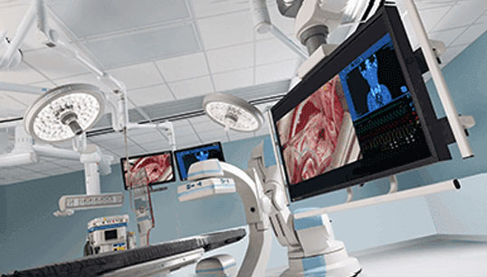 STERIS 8 Megapixel (8MP) Display