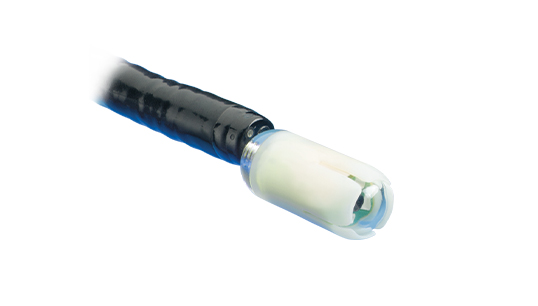 Advance delivery device Advance delivery device