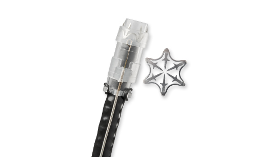 Padlock Clip Defect Closure System Padlock Clip Defect Closure System