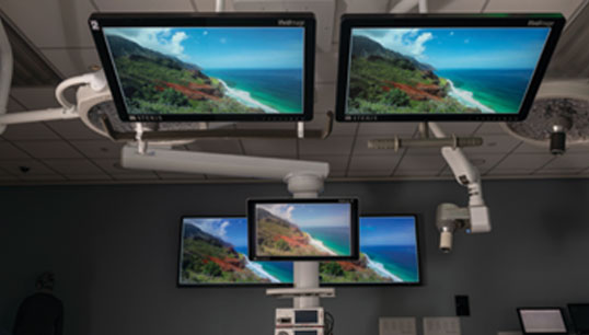 4K SURGICAL DISPLAYS AND LARGE FORMAT DISPLAYS 4K SURGICAL DISPLAYS AND LARGE FORMAT DISPLAYS