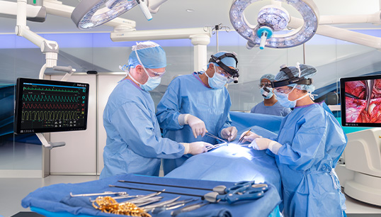 Système d’intégration HexaVue™ Focus