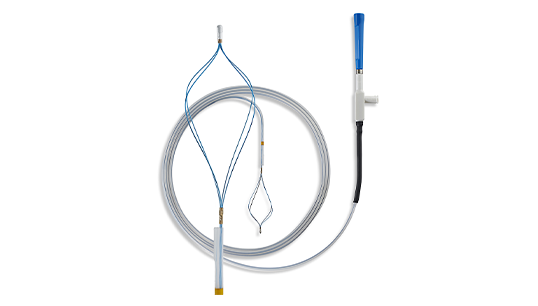 Steinextraktionskorb