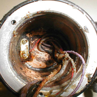 Korrosion im Elektronikstecker, verursacht durch Flüssigkeit