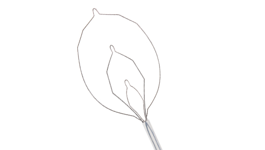 Anse LARIAT