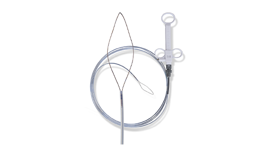 Anses monofilament