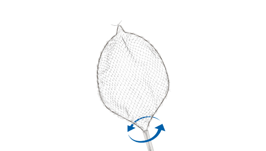 ROTH NET 360