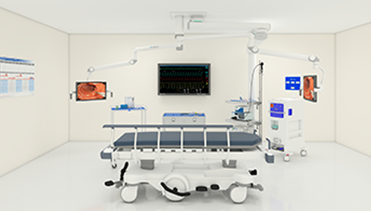 Endoscopy Suite
