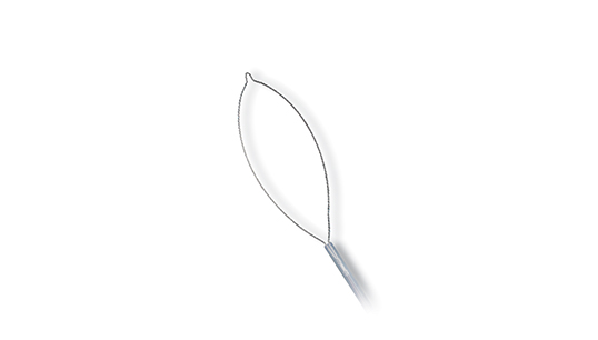 Rotator Polypectomy Snare Mini Oval Rotator Polypectomy Snare Mini Oval