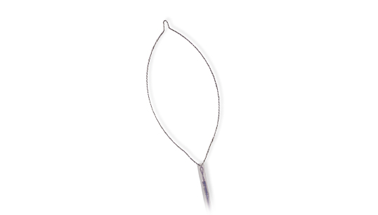 Rotator Polypectomy Snare Standard Oval Rotator Polypectomy Snare Standard Oval