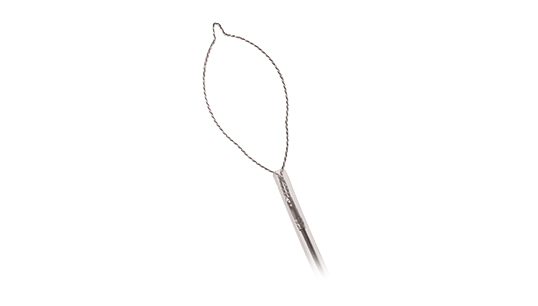 SHORT THROW Polypectomy Snare Mini Oval
