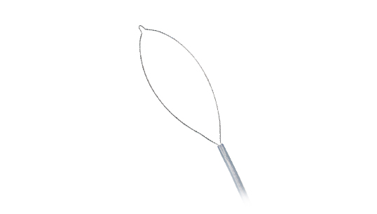 SHORT THROW Polypectomy Snare – Standard Oval SHORT THROW Polypectomy Snare – Standard Oval