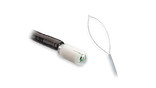Enteroscopy and Capsule Endoscopy Delivery Devices Enteroscopy and Capsule Endoscopy Delivery Devices